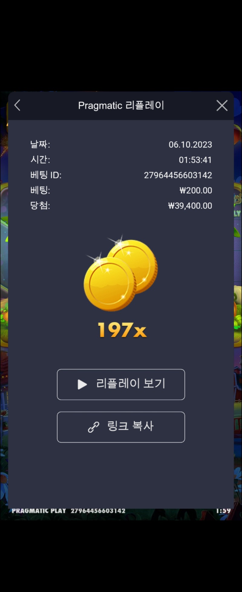 반페 멀티