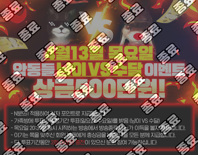 4월 13일 형제의 난 냥이 VS 수달