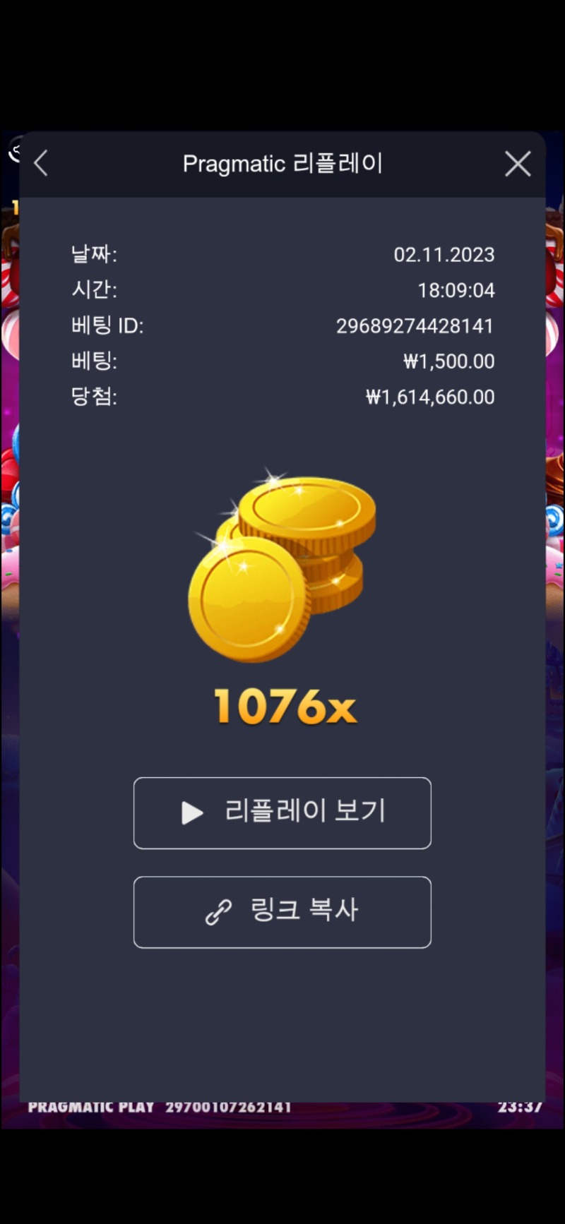 보난자 다이스 1000배