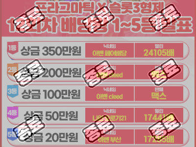 12배당왕집계.png