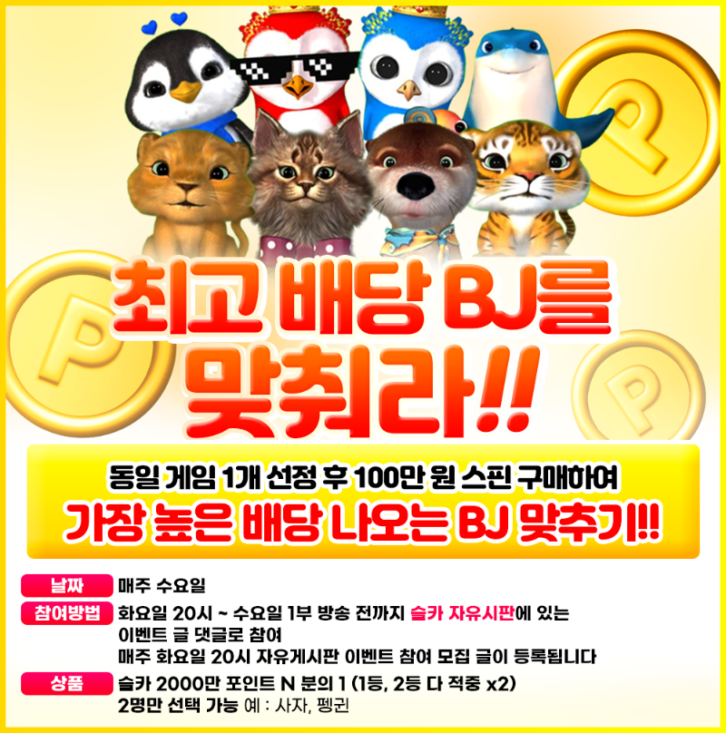 [투표마감] 최고 배당 BJ를 맞춰라 55회차