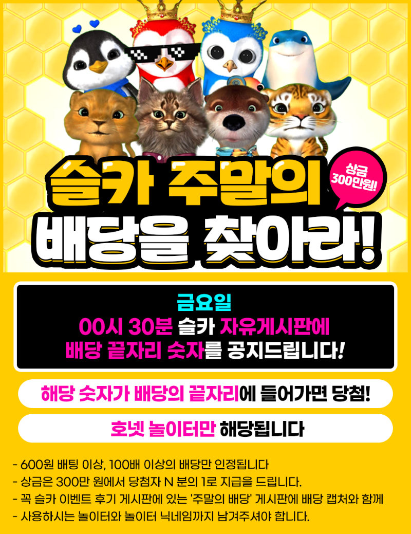 주말의 배당 숫자 주말의 배당 숫자 주말의 배당 숫자