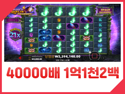 꽃돼지 멀린 4만배.png