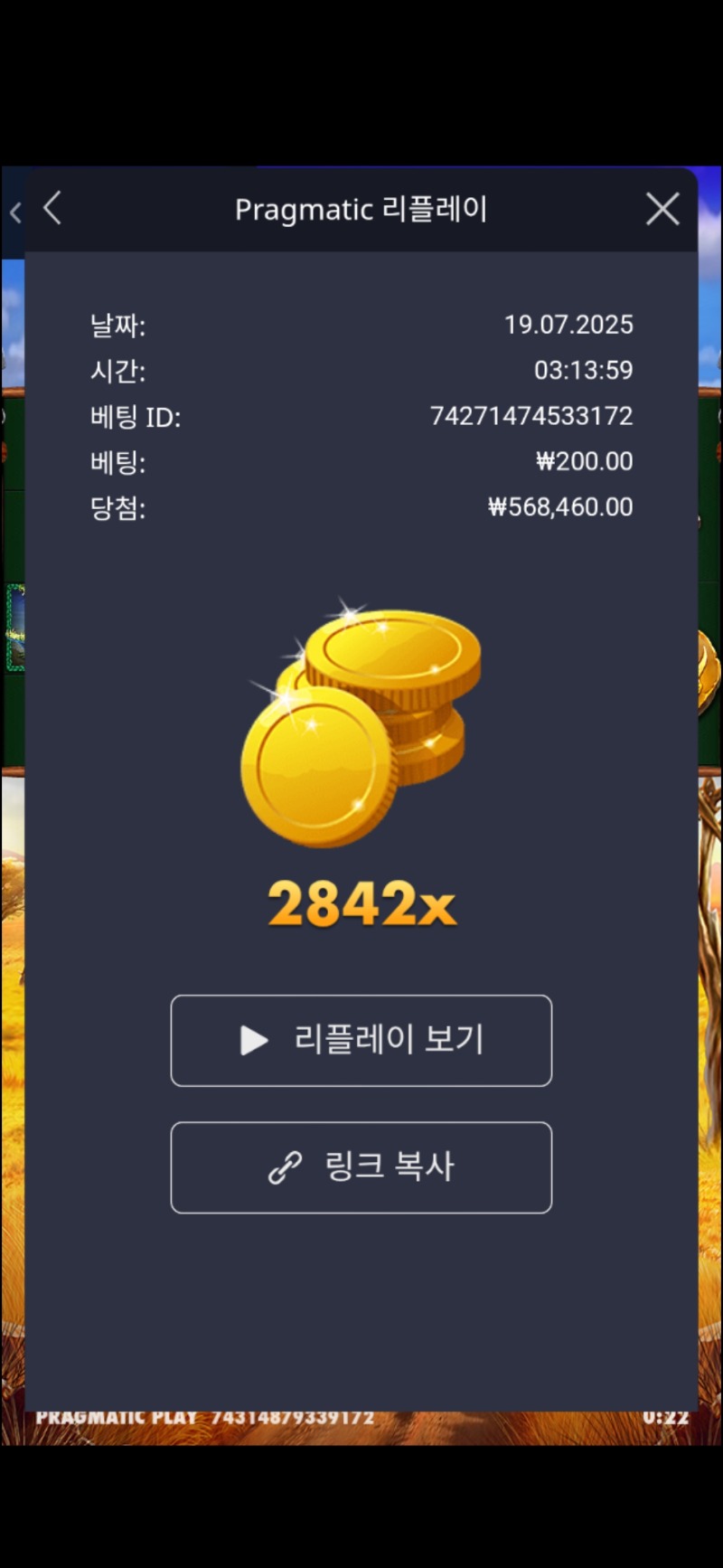 그라메 2842