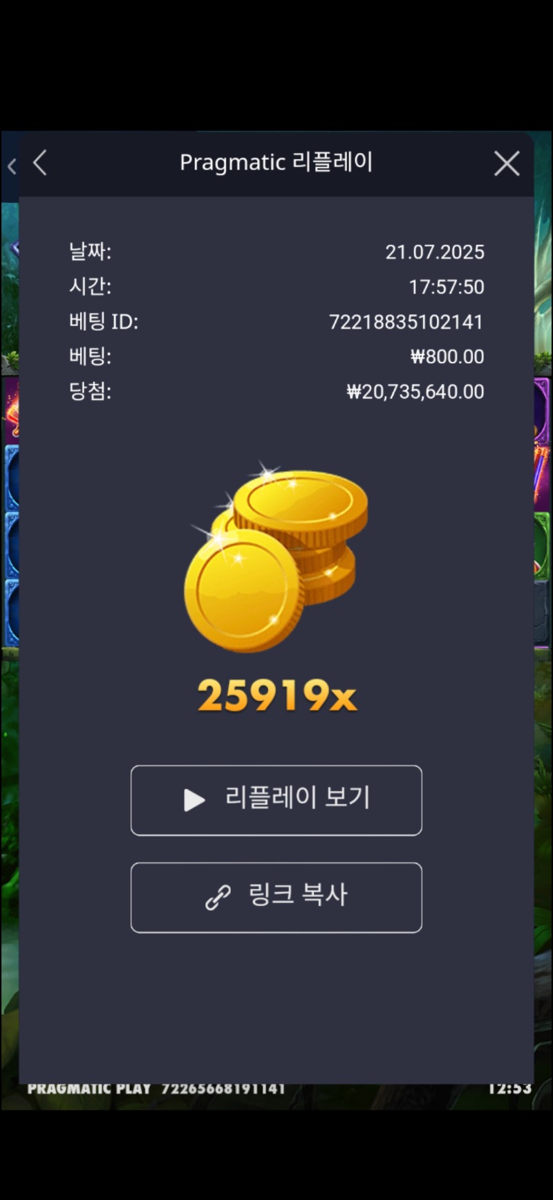 멀린 25919