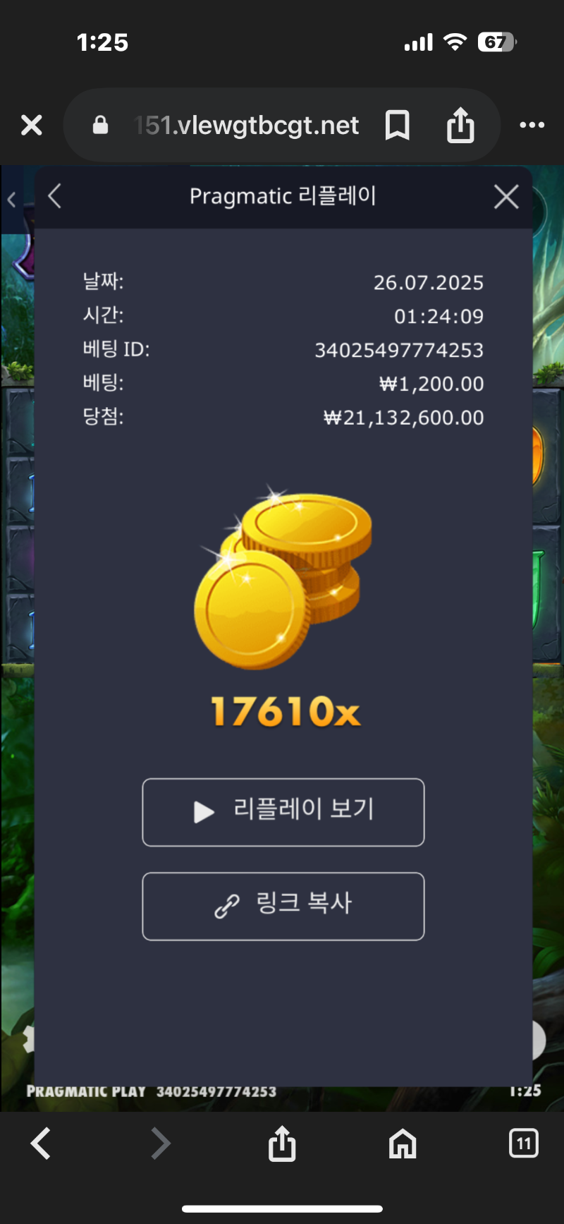멀린.17610
