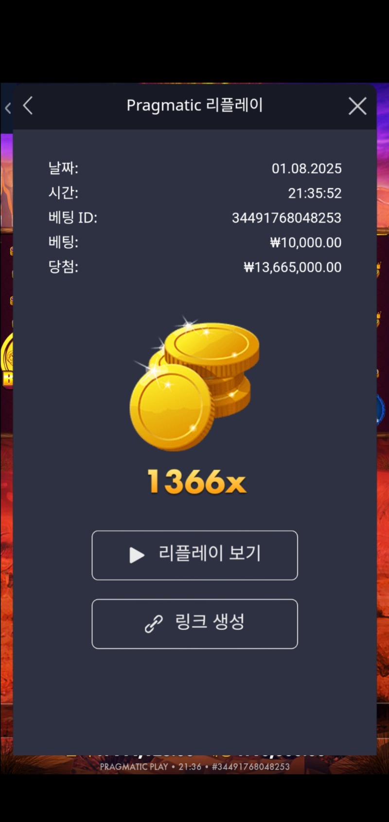 버팔로 킹 1366배