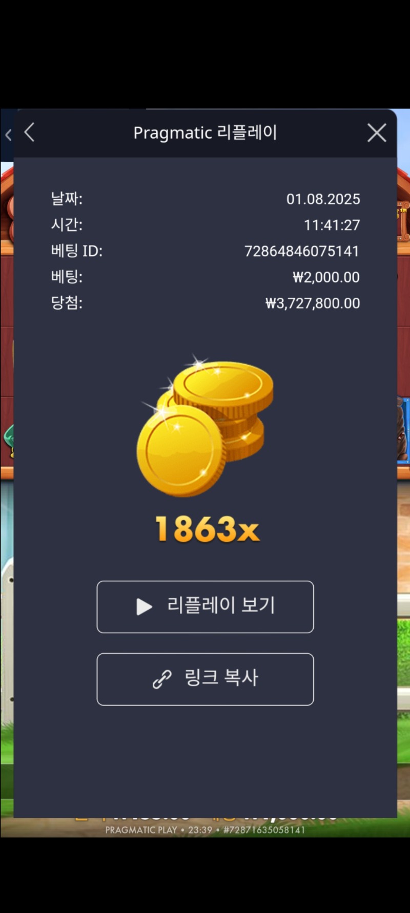 도그메1863배