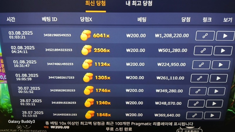 멀린6041배