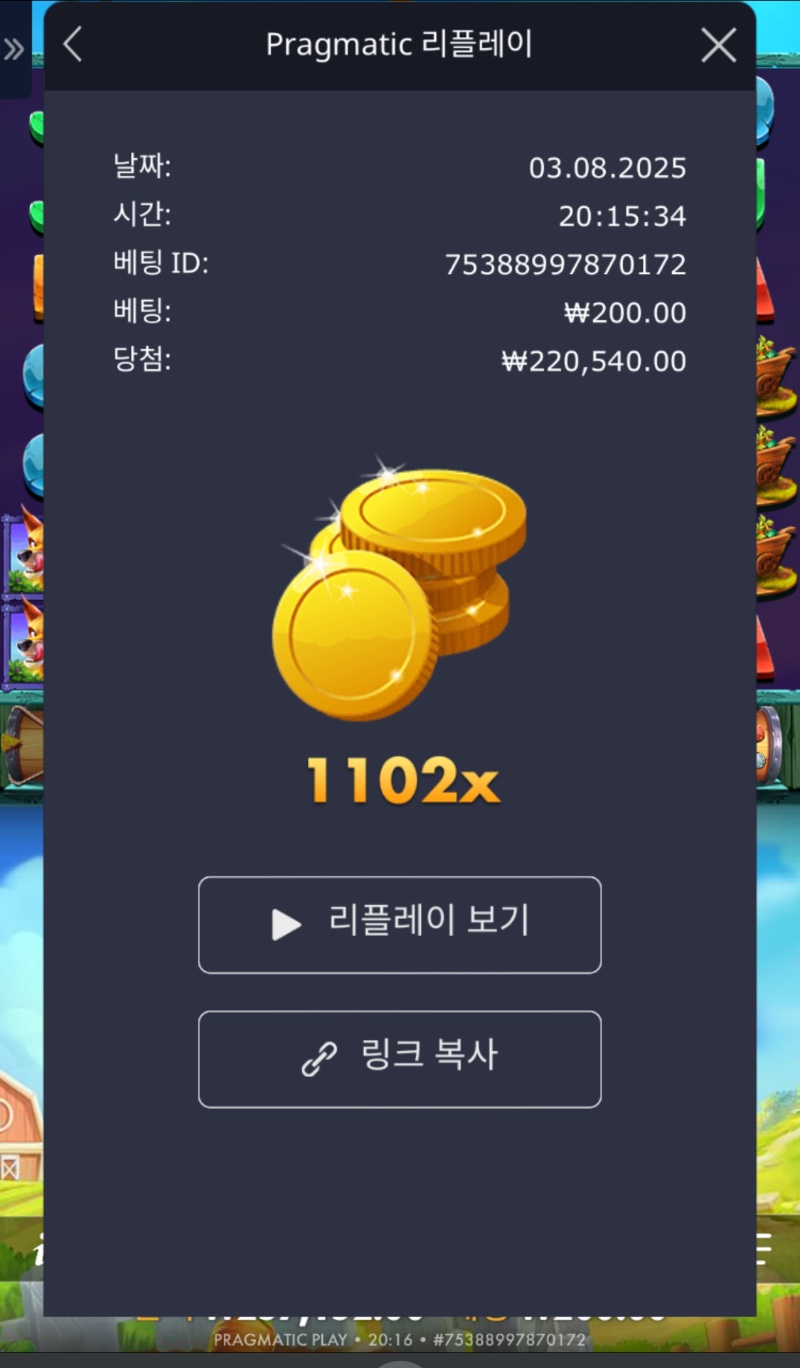 레빗가든 1102배