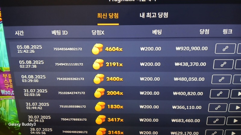멀린4604배