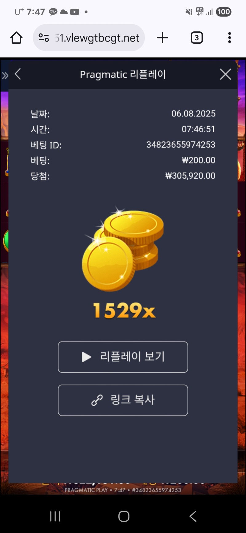 버메가 1529배