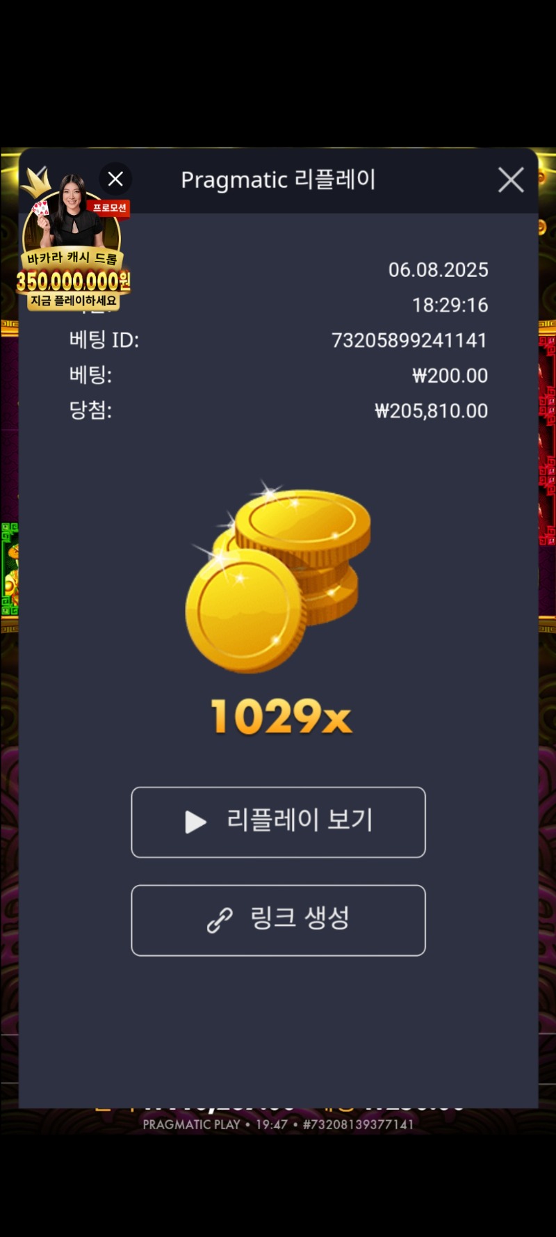 토라메1029배