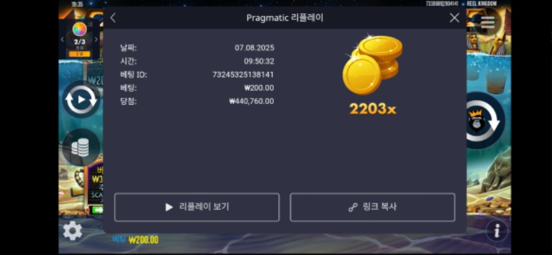 피쉬아이 2203배