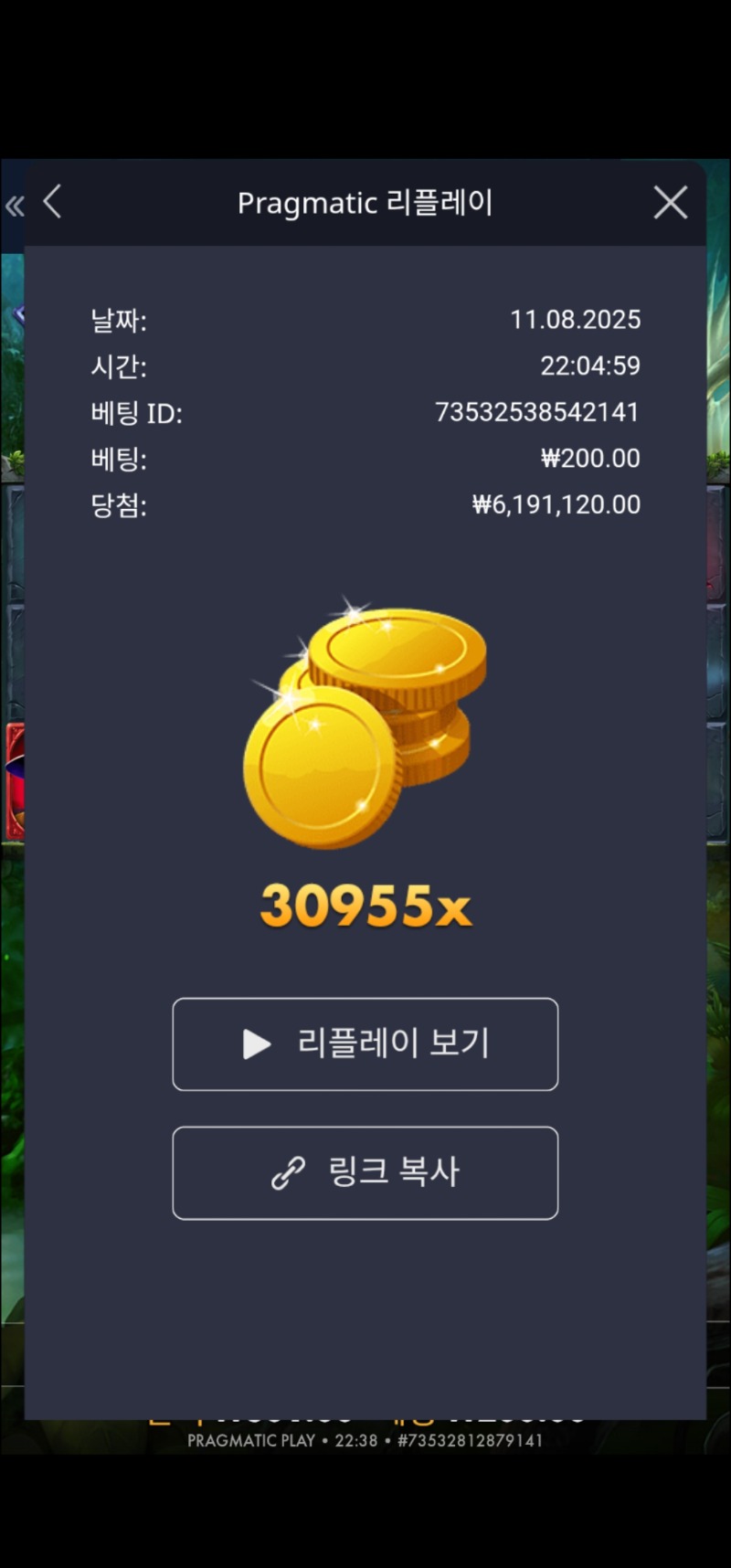 멀린 30955배