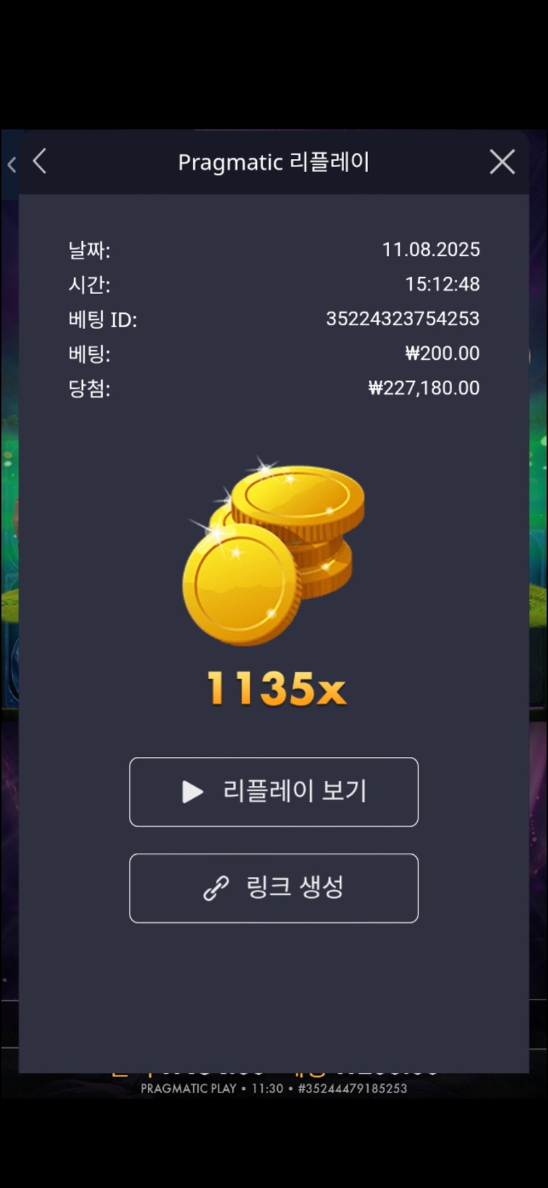 멀린1135배