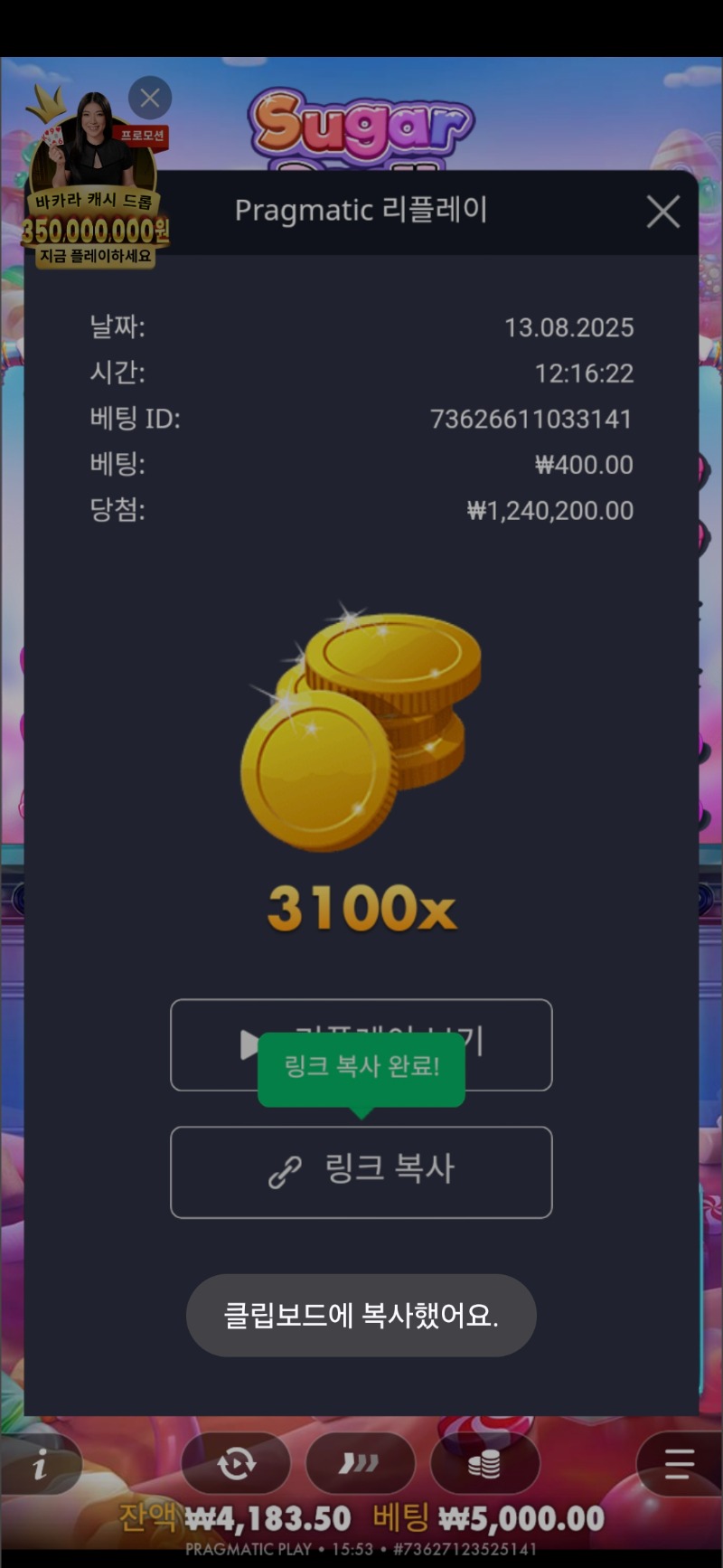 슈천 3100배