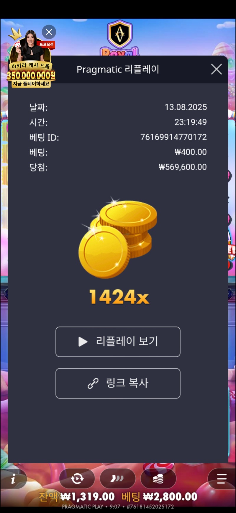 로얄 슈가1000 1424배