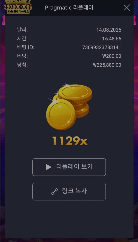 슈천1129