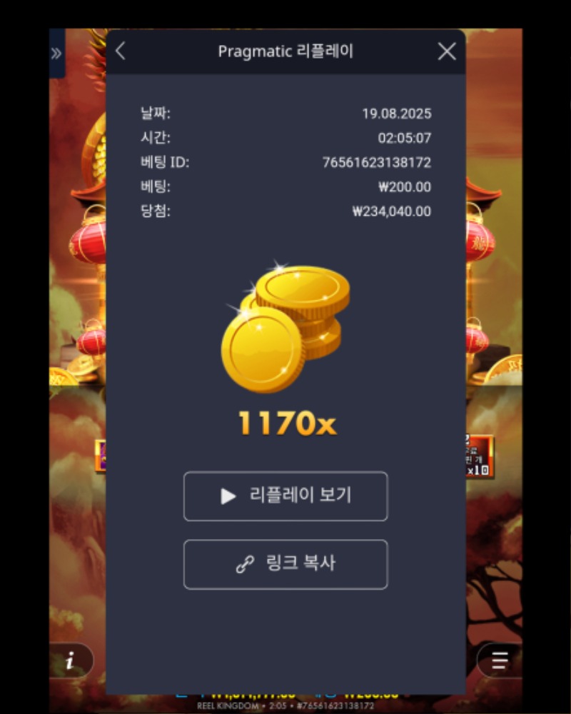 드래곤 골드 1170배
