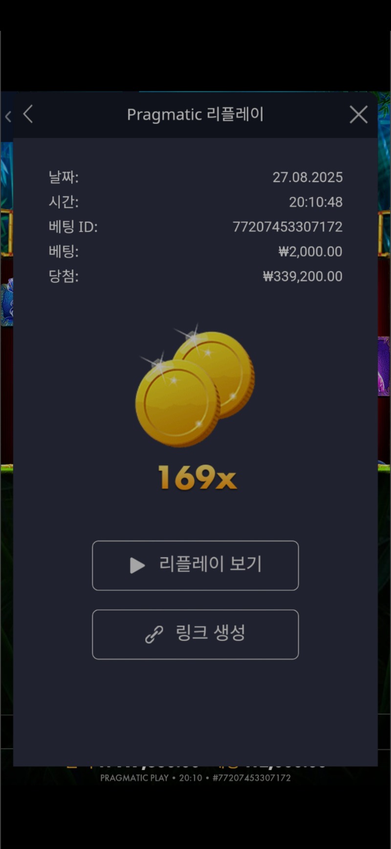 판다 169배
