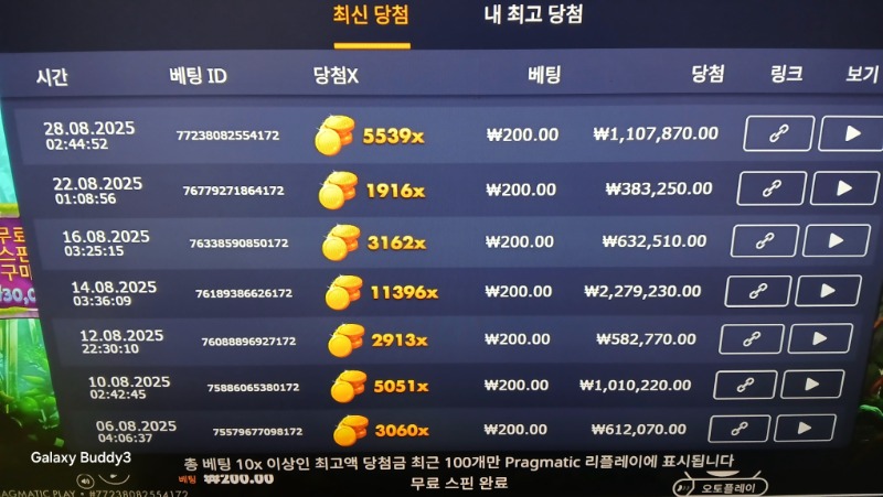 멀린5539배