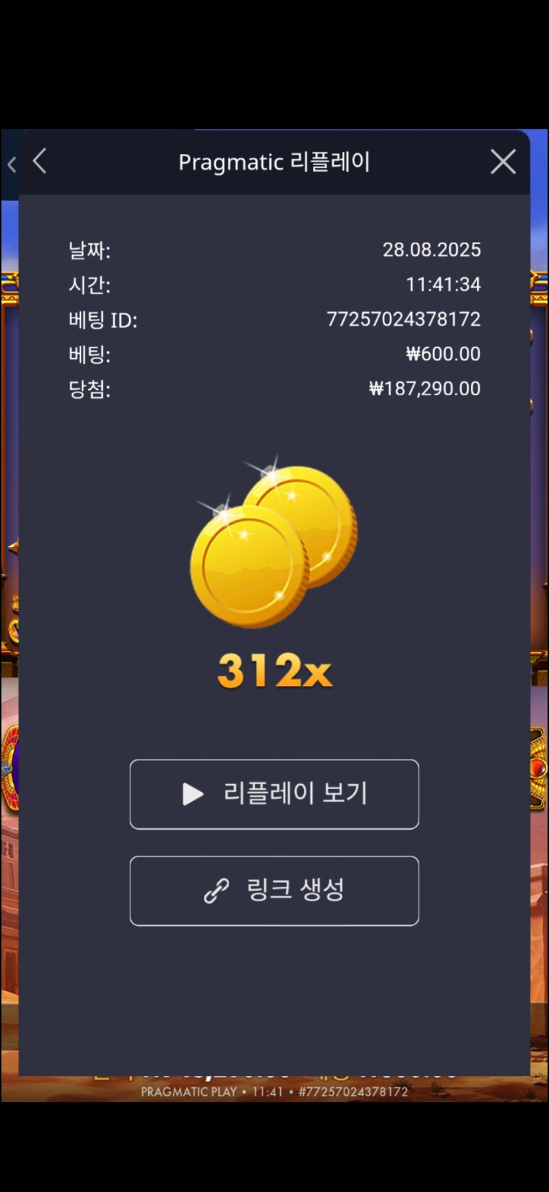 피라미드보난자 312