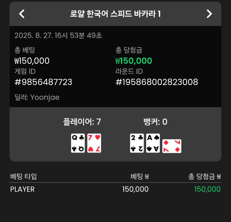 바카라 플레이어 승