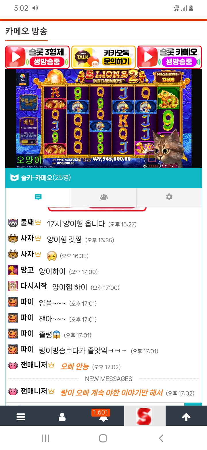 양이 방송 놀러오세요