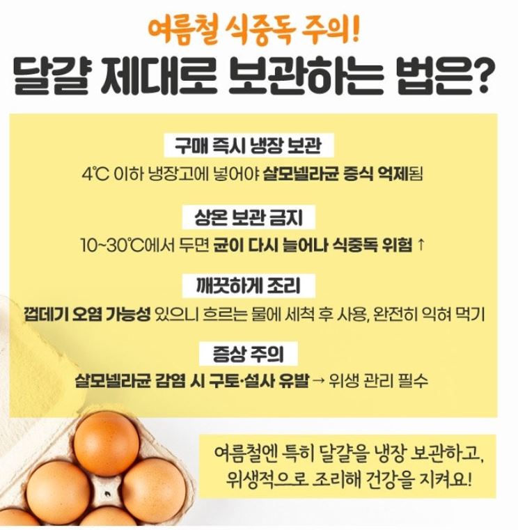 여름달걀보관