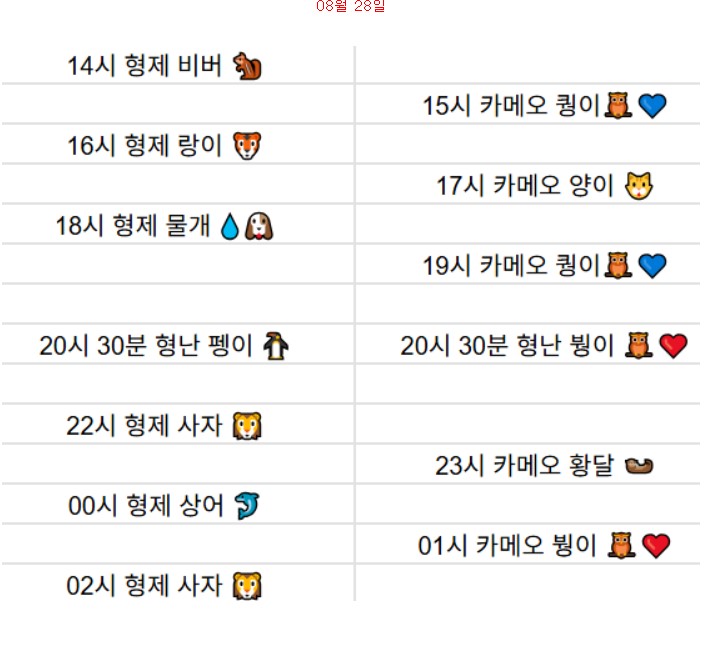 슬카 실시간 시청 방송 보는 방법