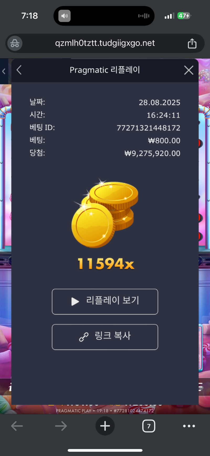 슈천 11594배