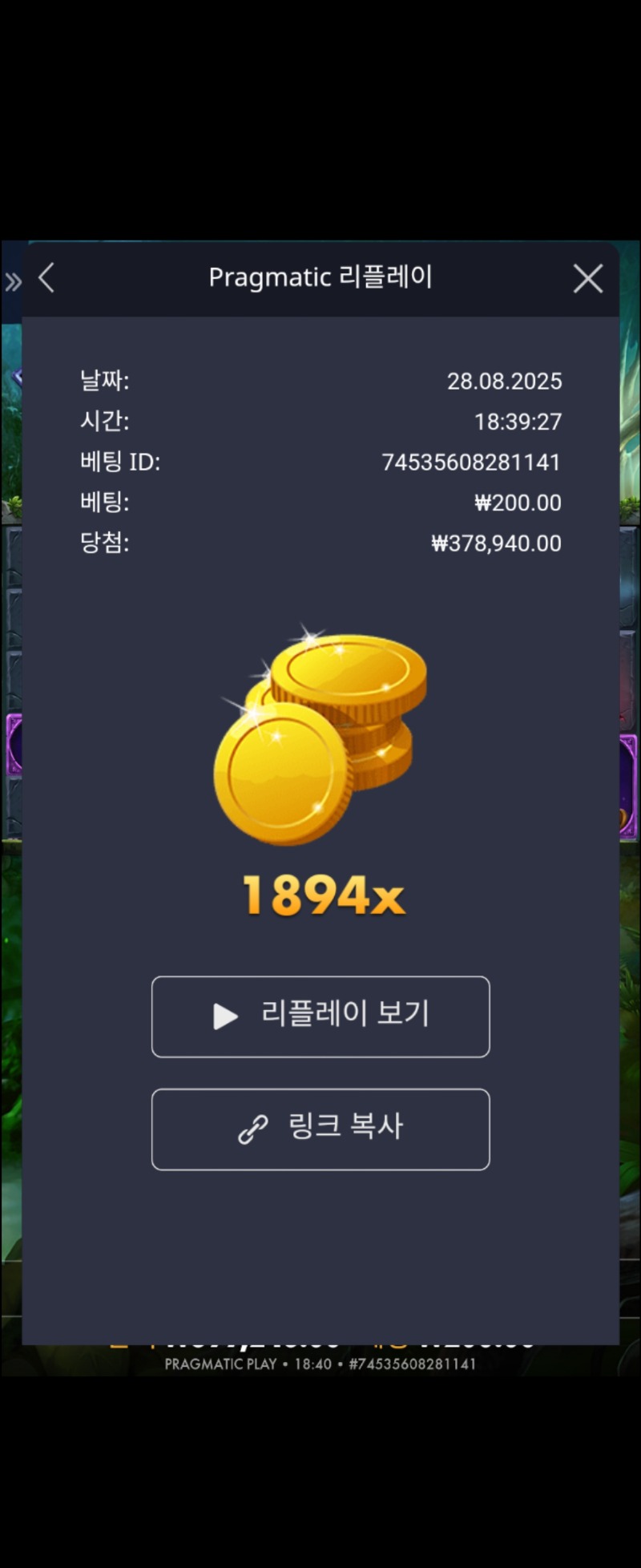 멀린 1894배
