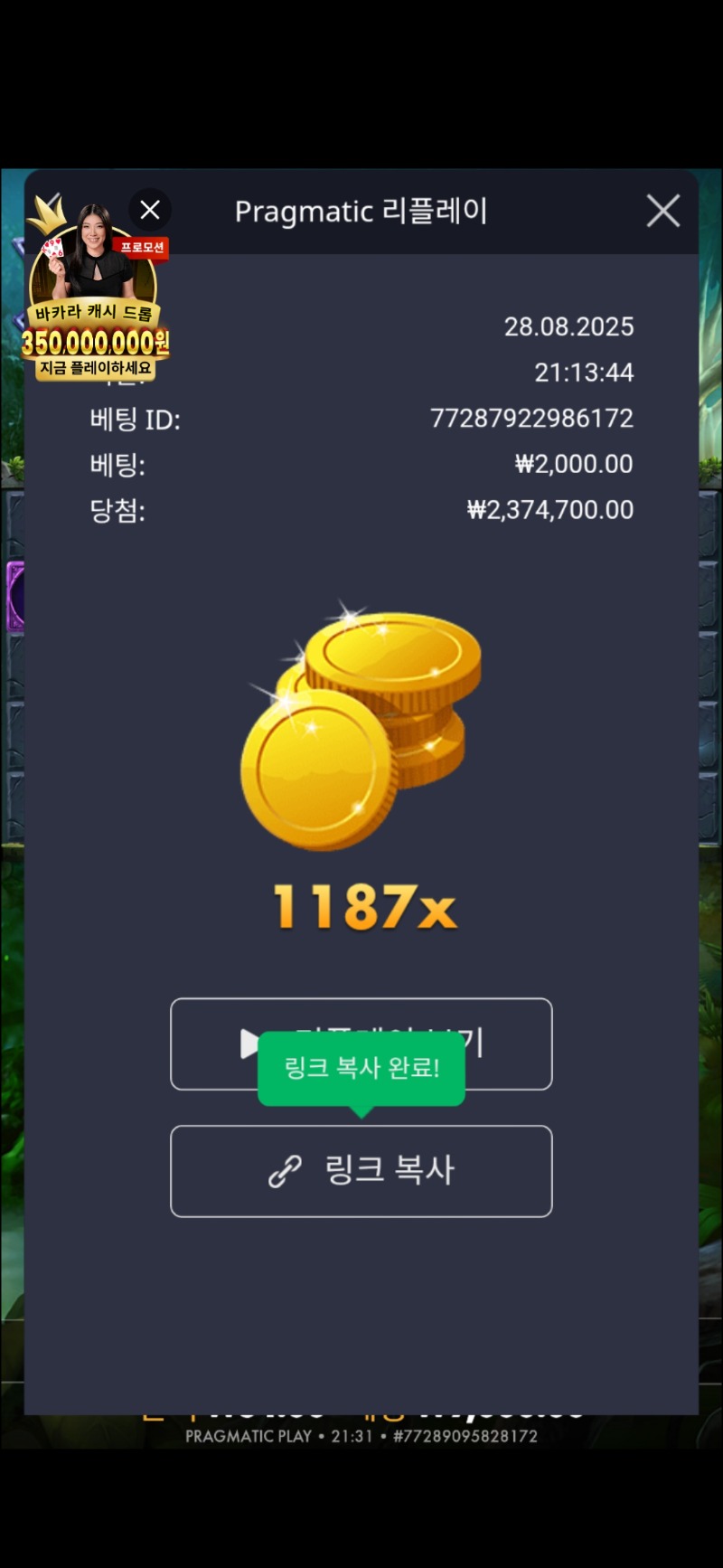 멀린 1187배