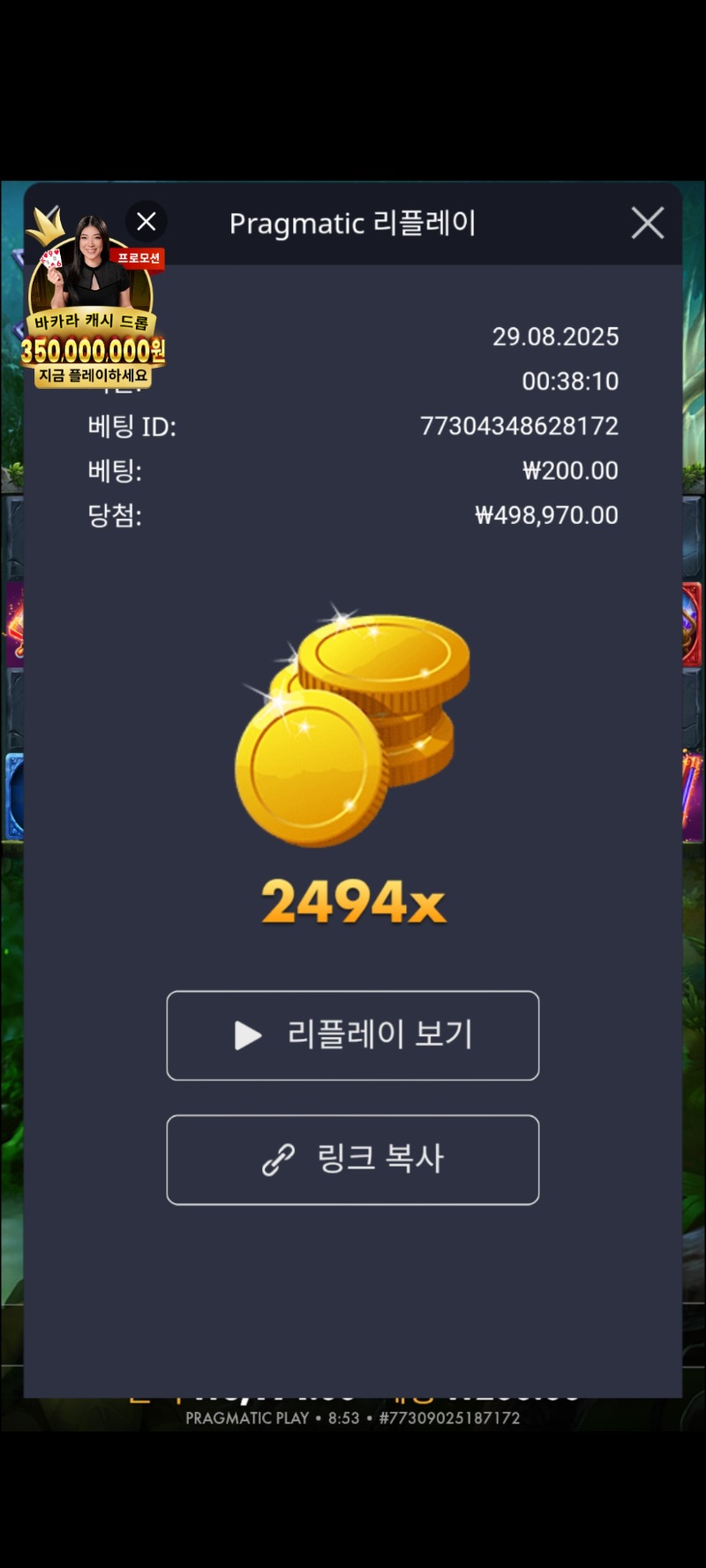 멀린2494