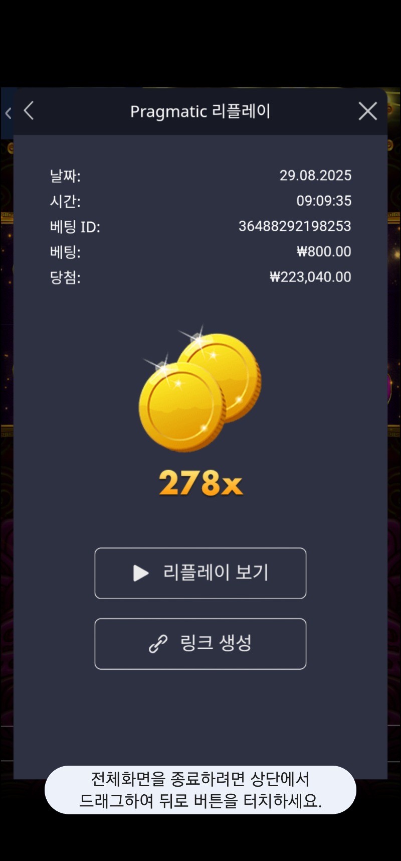 토라메 278배