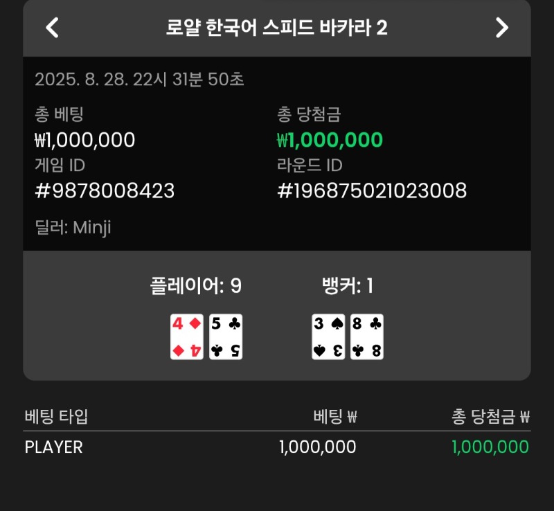 바카라 플레이어 3승