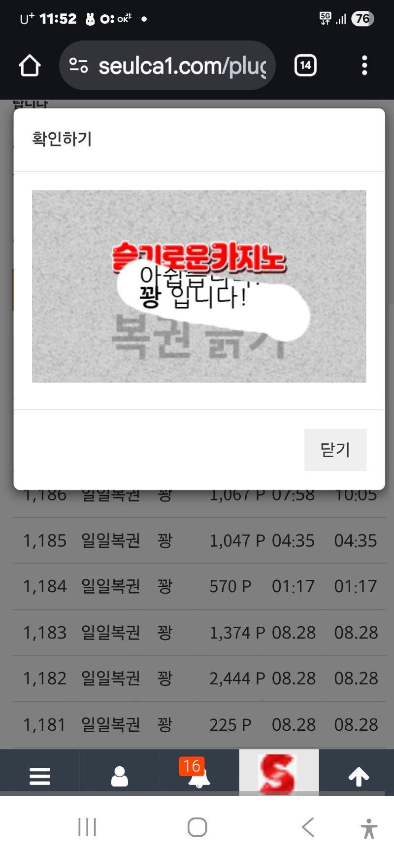 점심 일보기 꽝