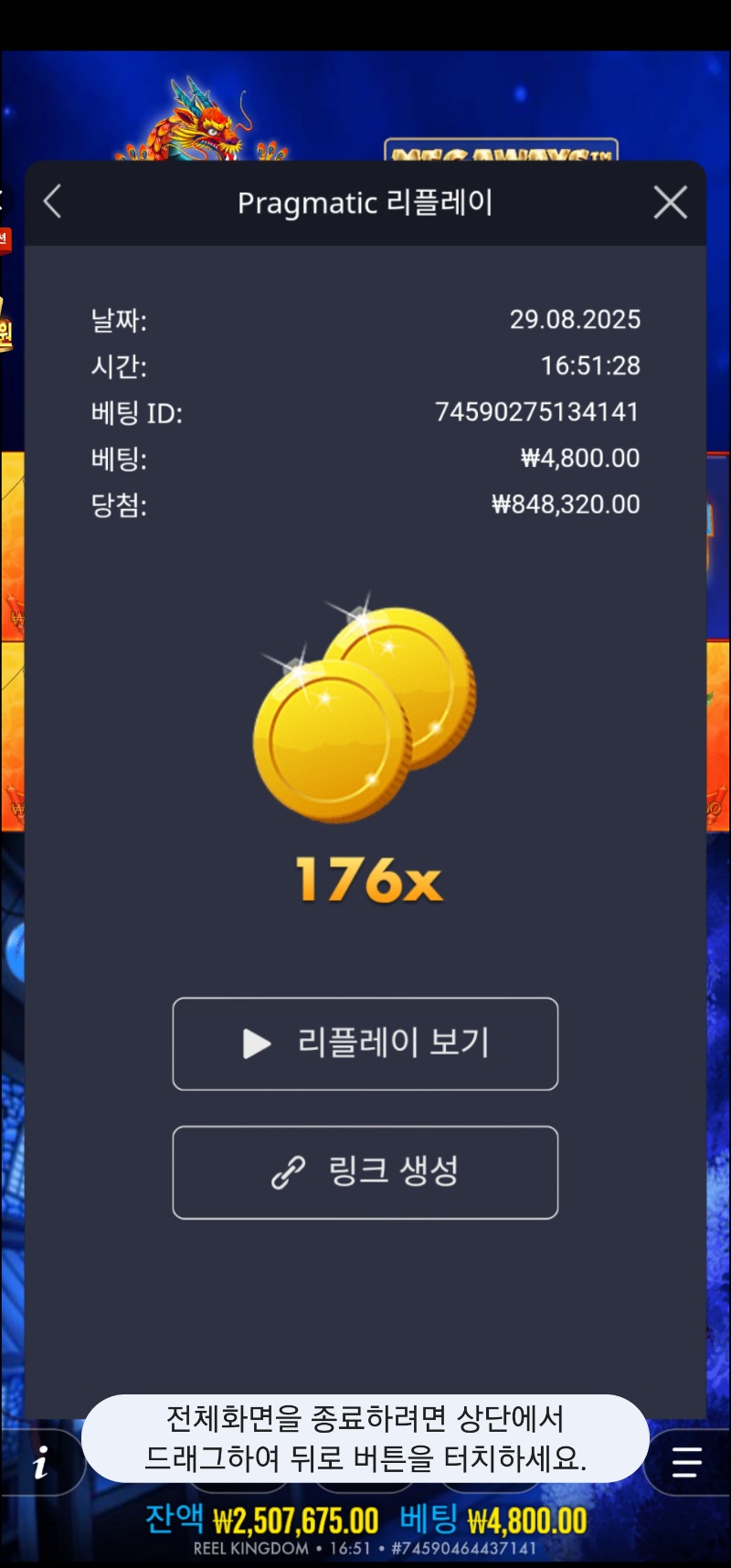 드래곤페스티발176배