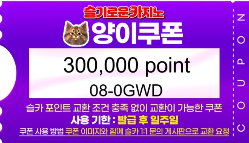 양이쿱 ㅅㅅ
