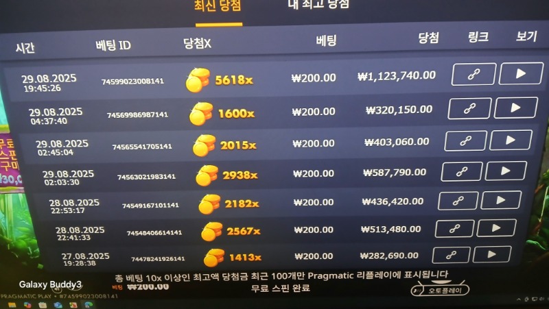 멀린5618배