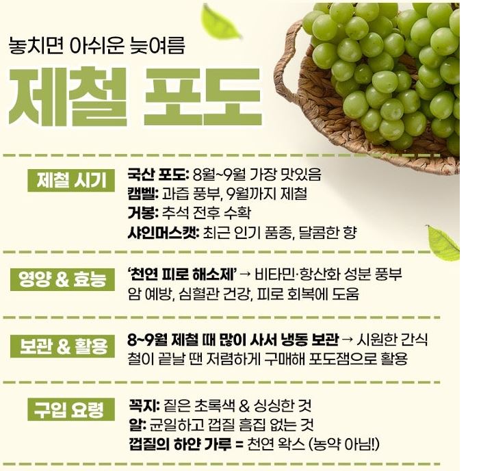제철포도