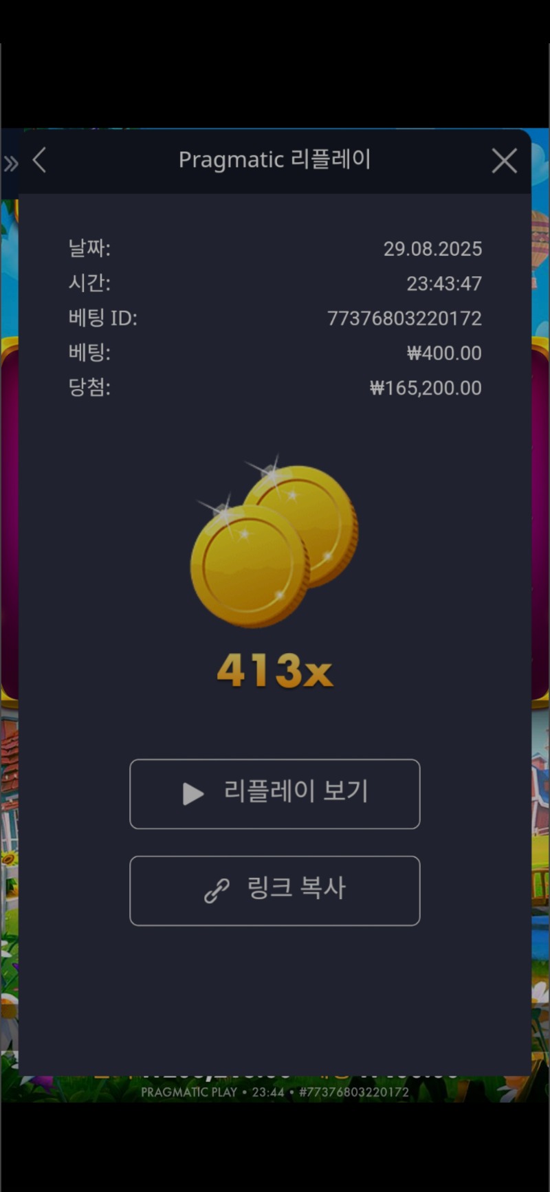 황물조리개 나이스