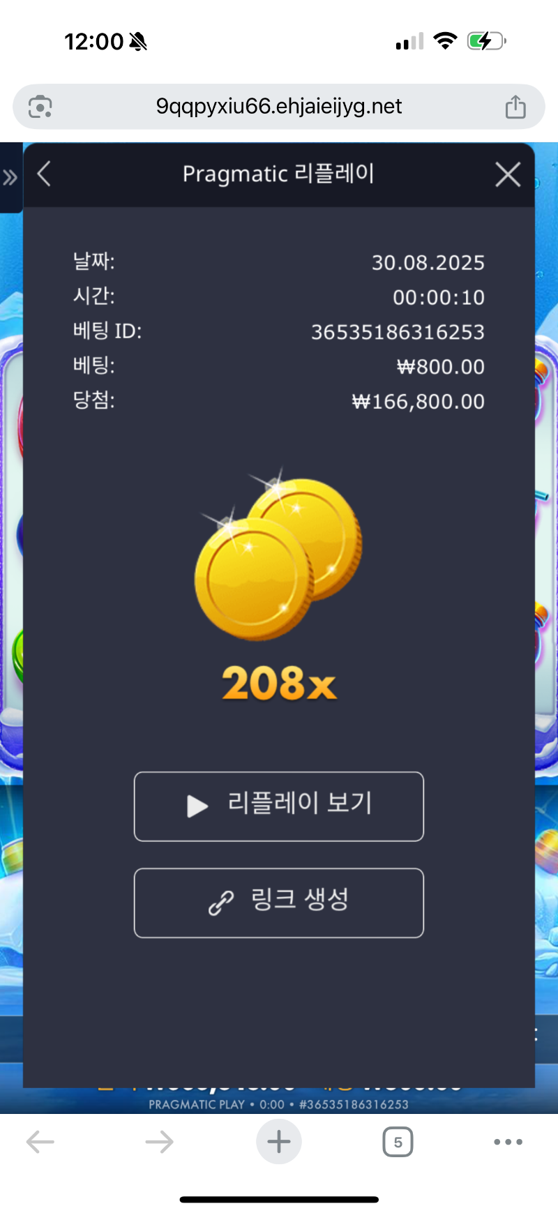 주배찾 아이스민트208배