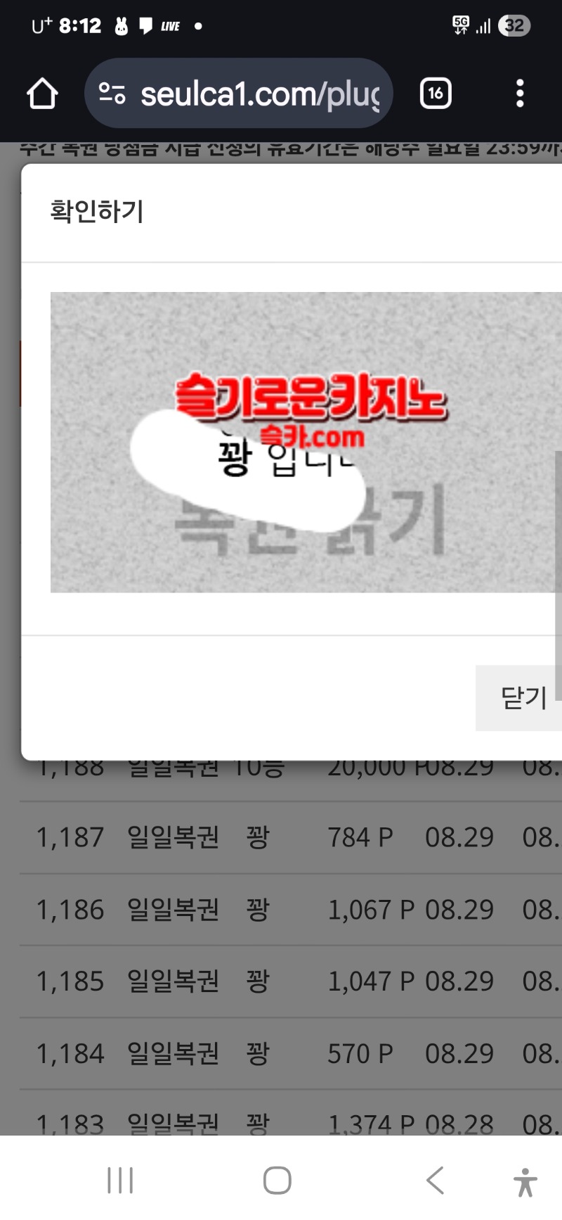 모닝 일보기 꽝