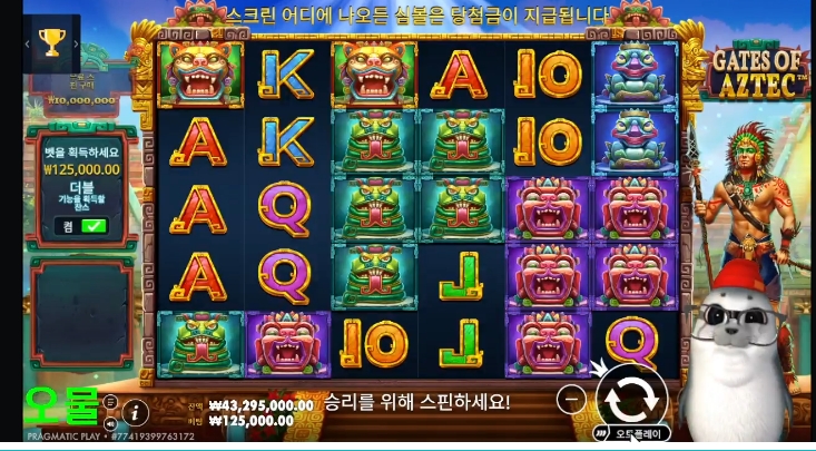 물개방송 시작~~