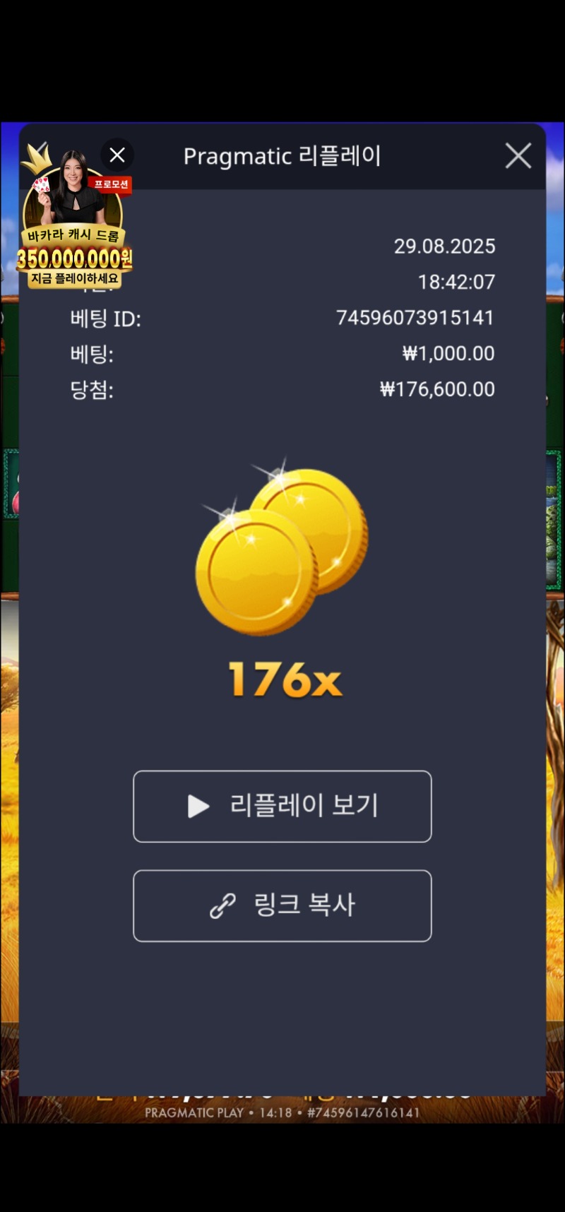 그라메 176배