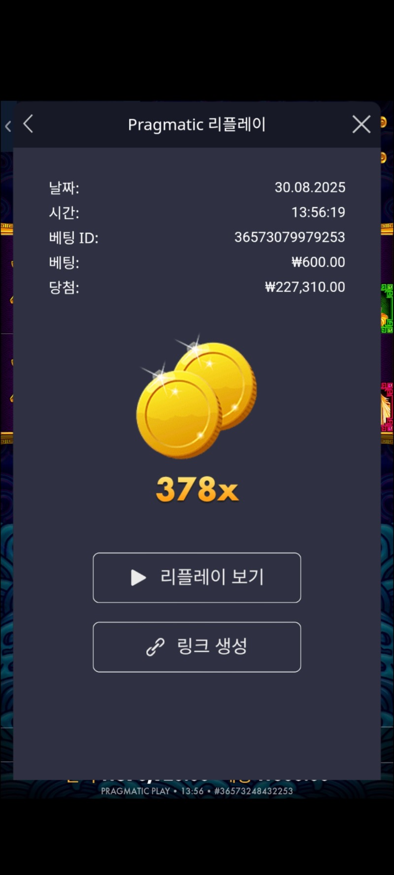 오라매378배