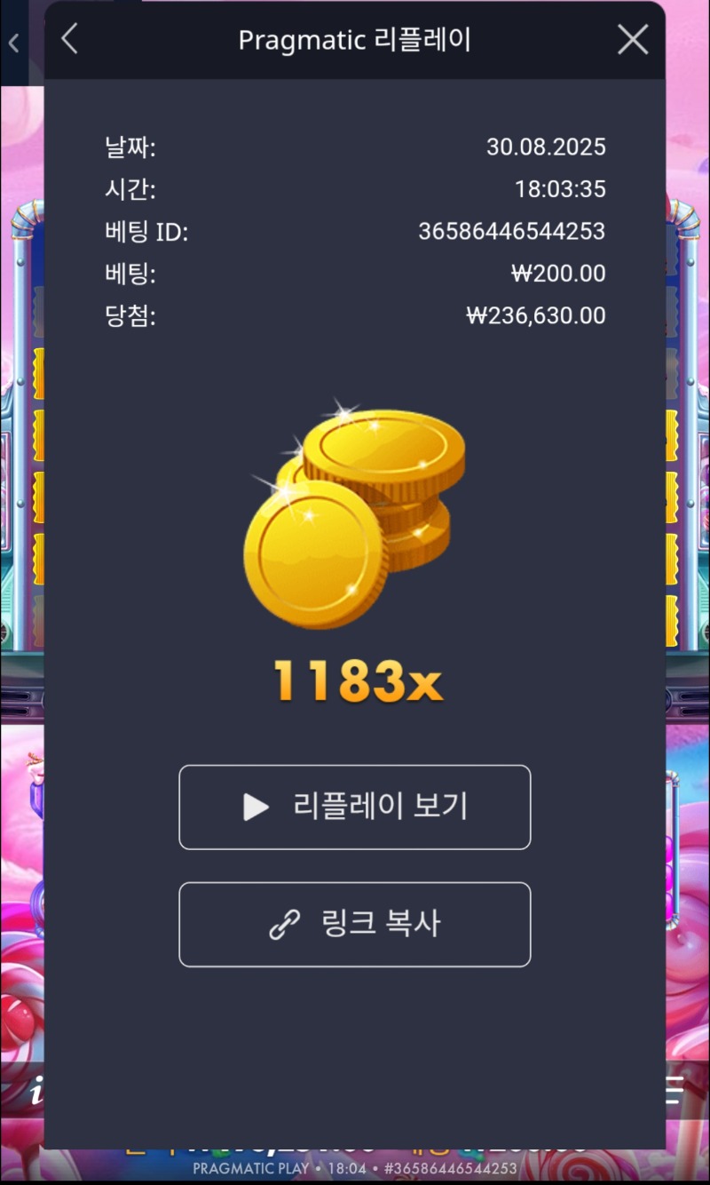 슈가다이즈1183