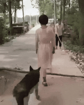 인간보다 깊은 배려심
